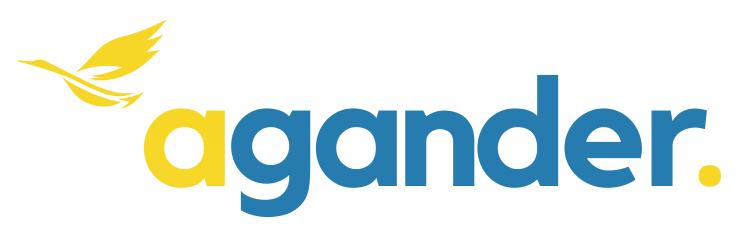 agander : Business Consultancy and Mentoring for SaaS, Startup and Small Businesses